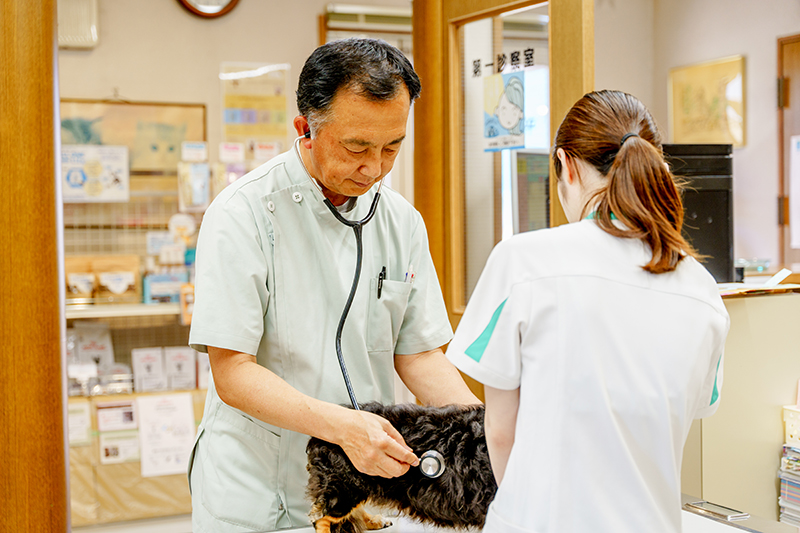 獣医師による丁寧な健康チェック